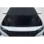 2021-2025 Hyundai Elantra Kima Hood - 1 Piece - image 1
