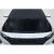 2021-2025 Hyundai Elantra Kima Carbon Fiber Hood - image 1