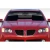 2008-2009 Pontiac G8 LE Designs Hood - image 1