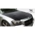 2005-2007 Dodge Magnum Executive Hood - image 4