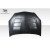 2002-2006 Acura RSX TS-1 Hood - 1 Piece - image 10
