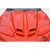 1998-2002 Pontiac Firebird WS-6 Hood - image 5