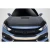 2017-2021 Honda Civic Type R OEM Look Hood - 1 Piece - image 1