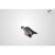 1994-2001 Acura Integra 2DR RBS Wing Spoiler - 1 Piece (S) - image 6