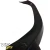 FRP Roof Wing > Subaru Impreza WRX 2002-2007 - image 6