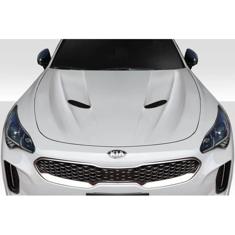 2018-2023 Kia Stinger Executive Hood - image 1