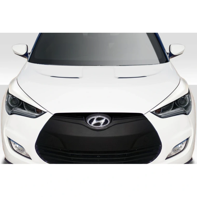2012-2017 Hyundai Veloster Raptor Accessory - image 1