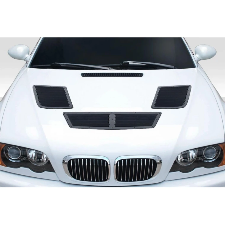 2001-2006 BMW M3 GT1 Scoop - image 1