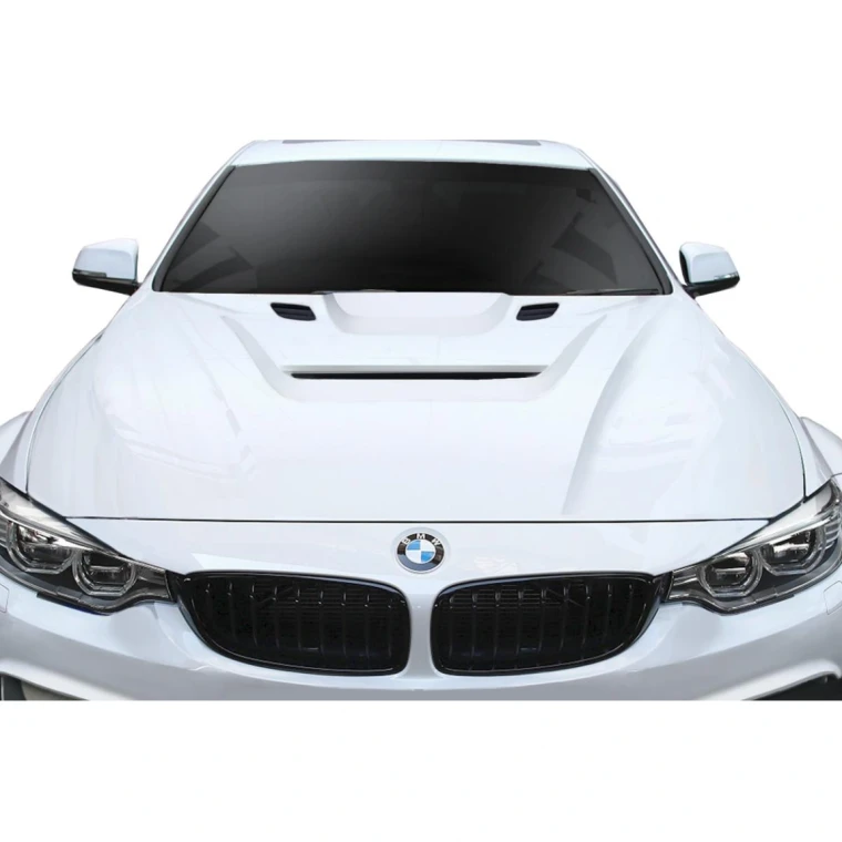 2012-2018 BMW 3 Series AF-1 Hood - image 1