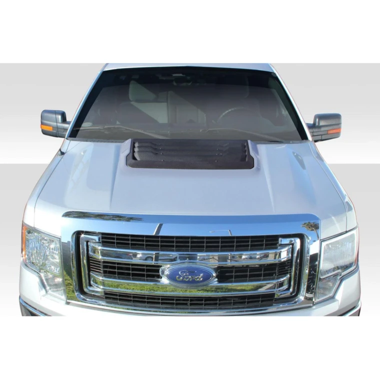 2009-2014 Ford F150 Raptor Look Hood - image 1