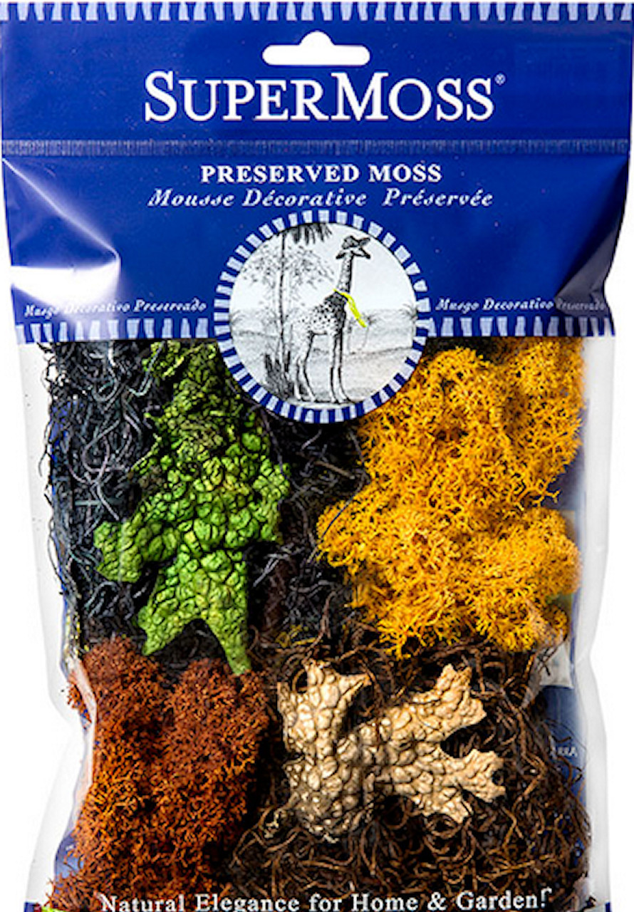 Super Moss Orchid Sphagnum Moss Dried Natural Color 16oz - Orchid Supply  Store