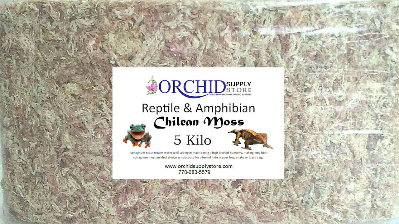 Reptile & Amphibian Moss 5 Kilo - Orchid Supply Store