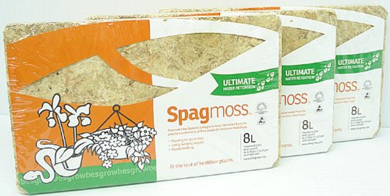 New Zealand Sphagnum Orchid Moss Special 3 Pack of 100 Grams (24