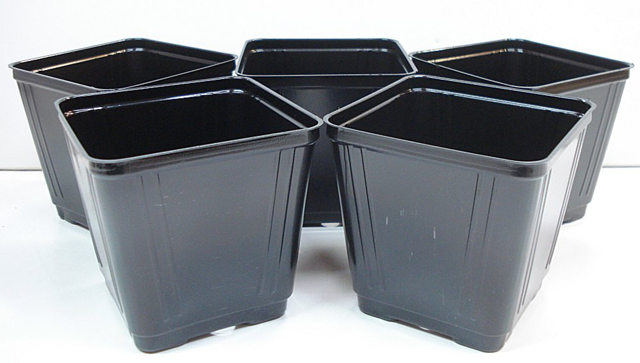 Black Plastic Starter Pot For Plants 3.5 Inch Square - Quantity 10