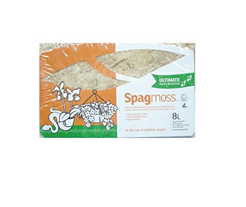 Spagmoss Premium New Zealand Sphagnum Moss AA Grade (100 Gram)