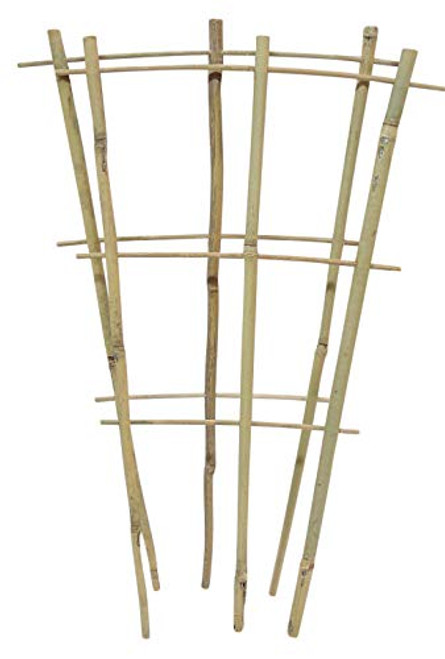 Natural Color Bamboo Trellis 18 inches Tall