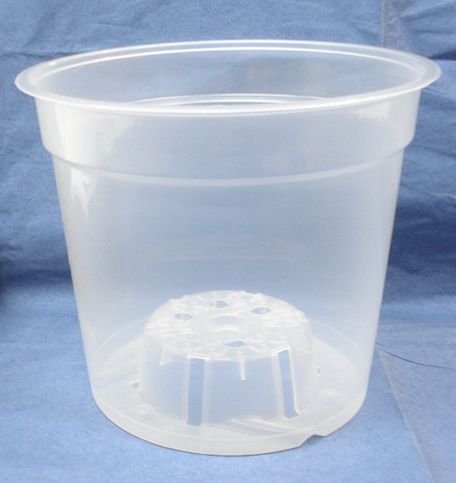 6 Inch Teku Plastic Pot