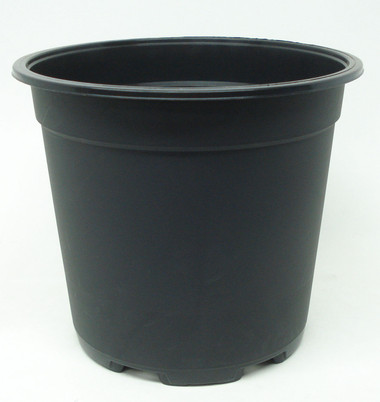 NO COFFEE × BOTANIZE × .blnk plastic pot NO COFFEE × BOTANIZE × .blnk plastic pot Plastic Pot – BOTANIZE