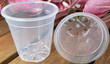 Clear Plastic Pot - Virtually Clear 2 3/8" Plastic Pot