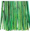 Bamboo Stakes 24inches