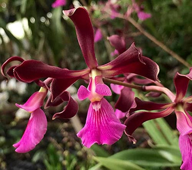 150084d3-cdc9-57ff-a4ec-