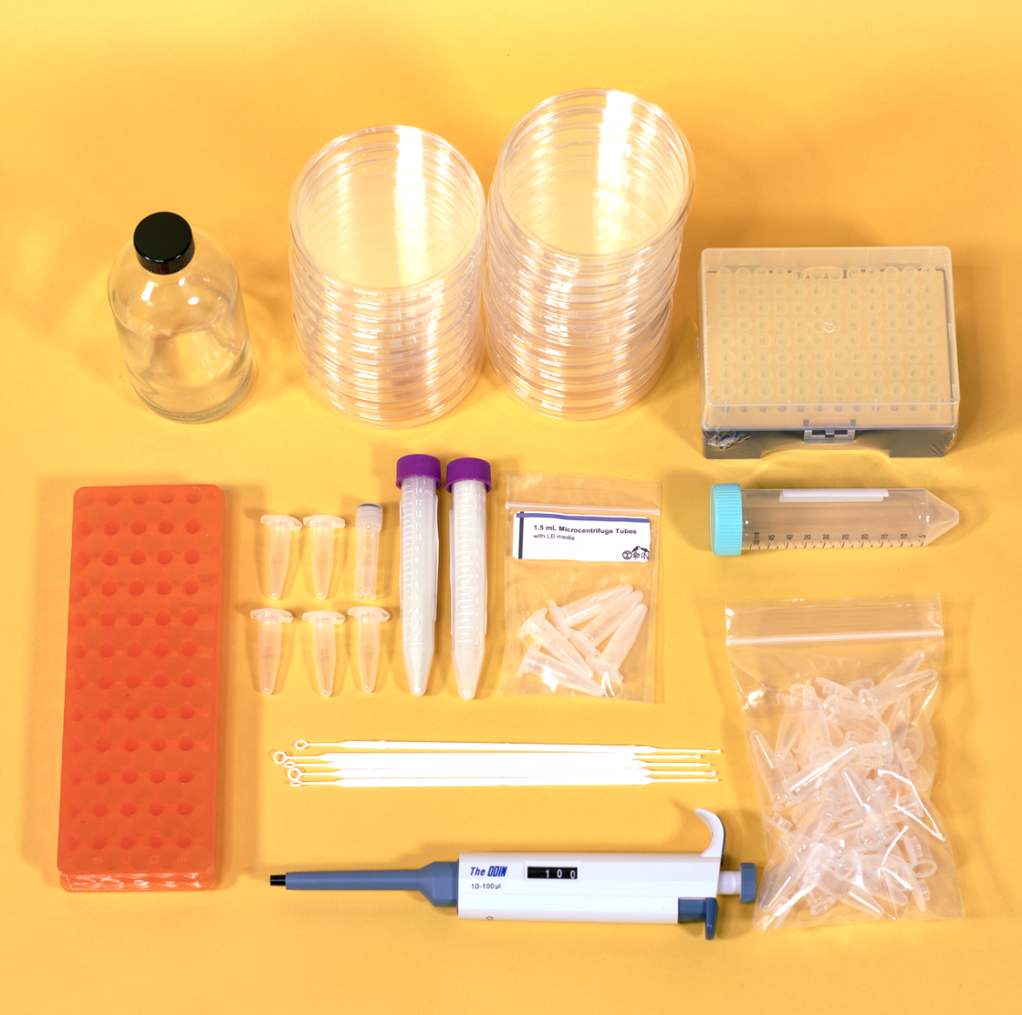 DIY CRISPR Kit