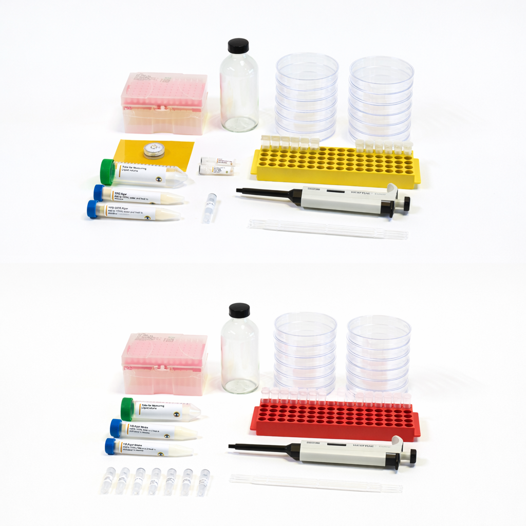 Bacterial CRISPR and Fluorescent Yeast Combo kit - The ODIN