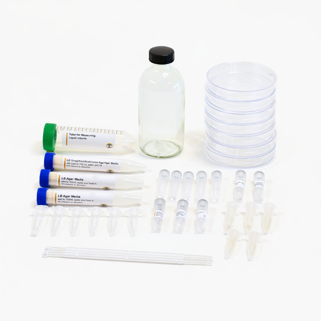 CRISPR Bacteria Gene Editing Kit  Starter Version