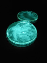  pJE202/pVIB to Create Bioluminescent Bacteria