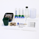 Genetically Modify the Color of Plant Leaves