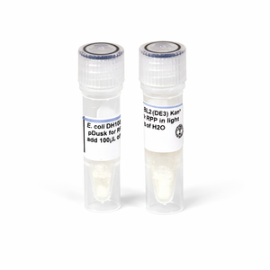 pDusk and pDawn - Light controlled fluorescent protein expression