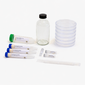 Grow Bioluminescent Bacteria