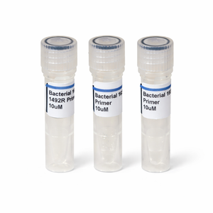 Bacterial 16s rDNA primers for Bacterial identification