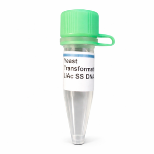 Yeast Transformation Buffer
