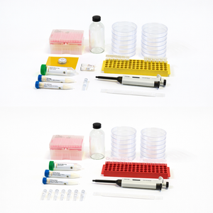 Bacterial CRISPR and Fluorescent Yeast Combo kit