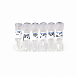 Bacterial CRISPR Kit Replacement Perishables