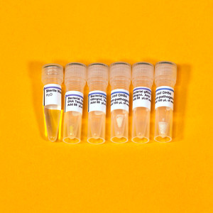 Bacterial CRISPR Kit Replacement Perishables Bacterial CRISPR Kit Replacement Perishables