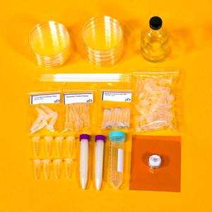 Make Bacteria Glow with Jellyfish Genes Make Bacteria Glow with Jellyfish Genes