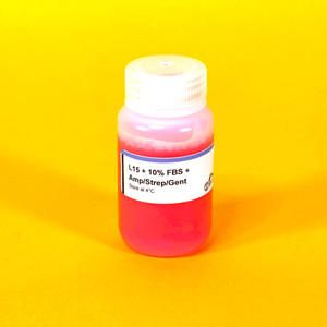L15 Media with 10% FBS + Antibiotics 100mL L15 Media with 10% FBS + Antibiotics 100mL