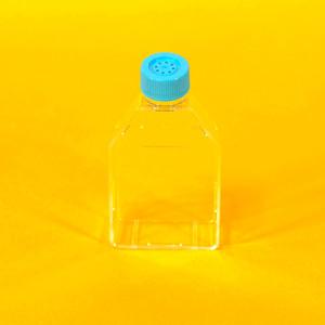 25cm Tissue Culture Treated Flasks Qty 20