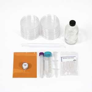 Grow Fluorescent Yeast