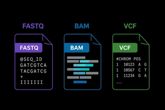 Why we built our genomics service around your privacy - and what that actually means 