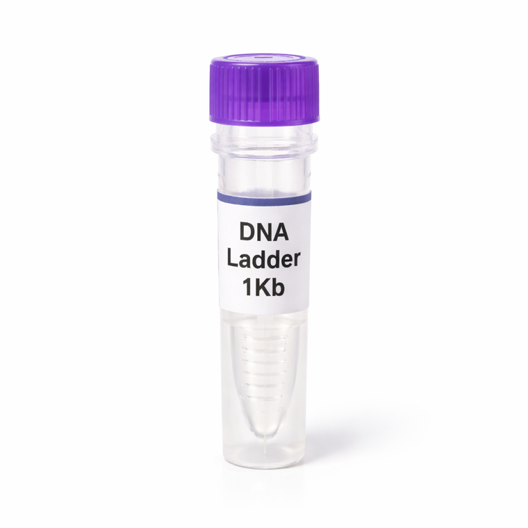 DNA Ladder 1Kb