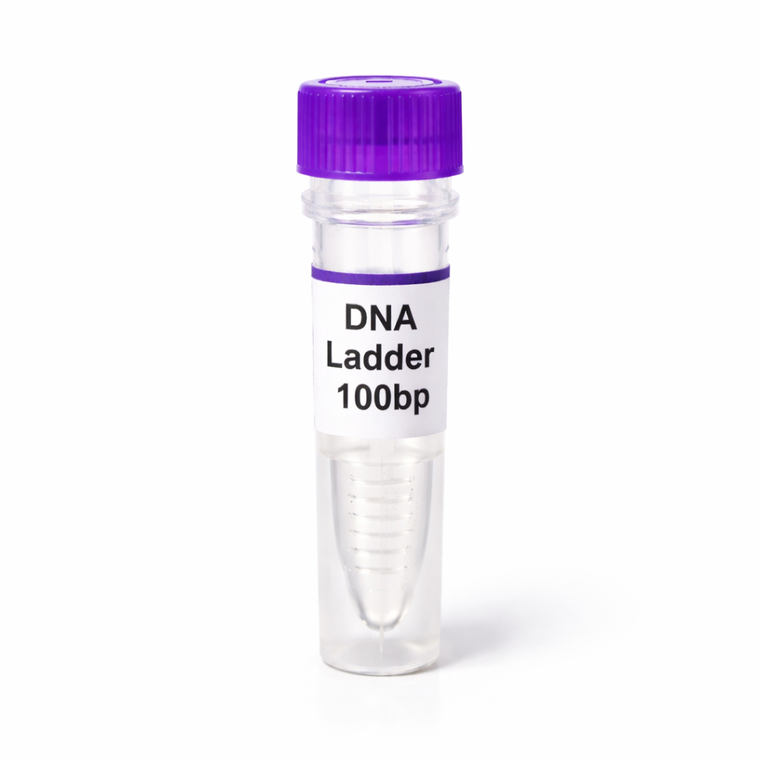 DNA Ladder 100bp