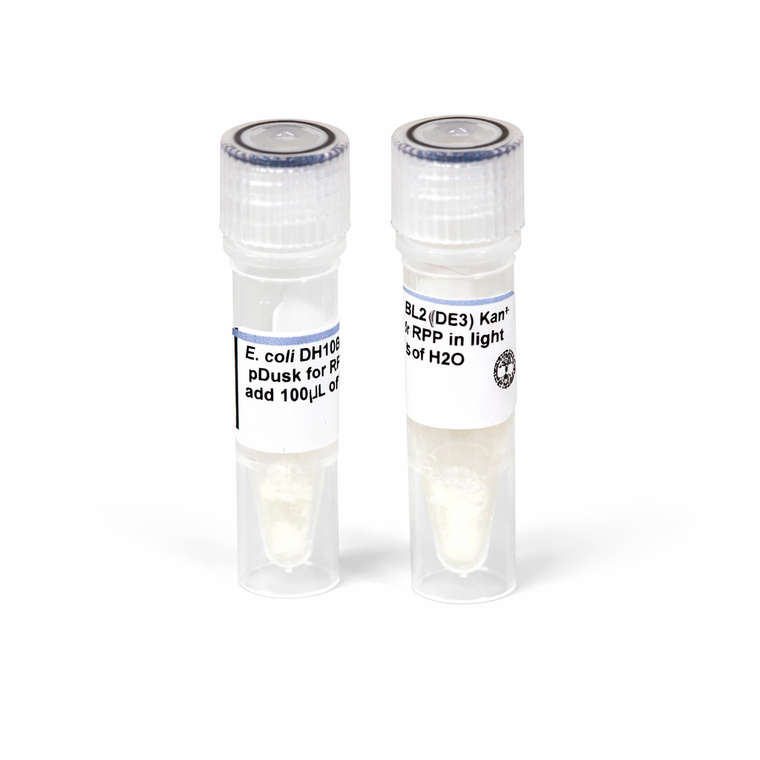 pDusk and pDawn - Light controlled fluorescent protein expression