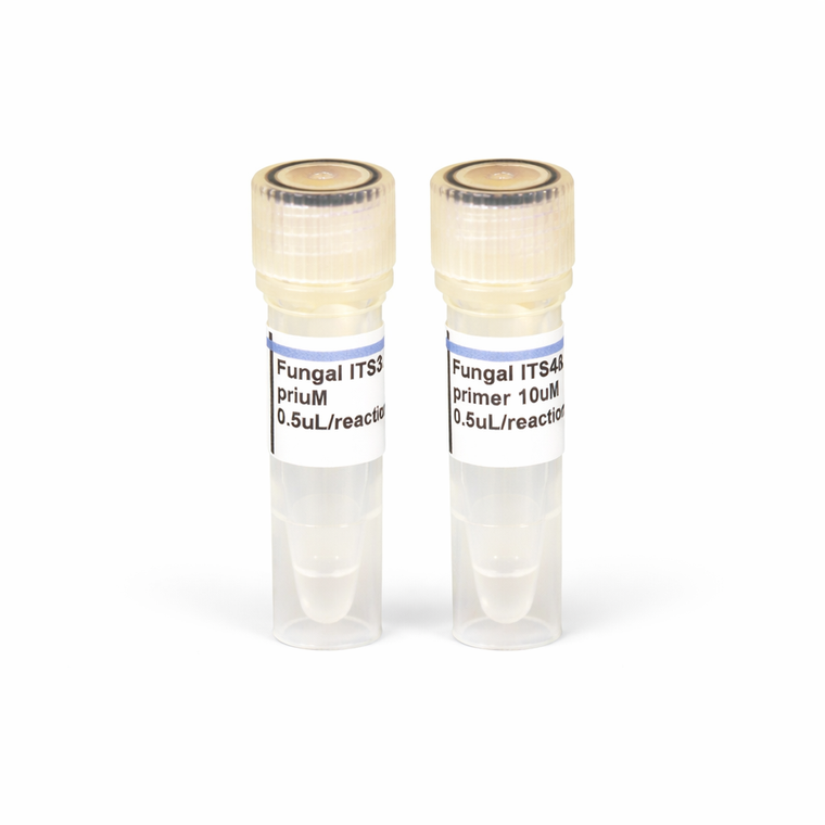 Fungal/Yeast ITS PCR Primers for identification and barcoding
