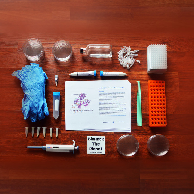 DIY Bacterial Gene Engineering CRISPR Kit