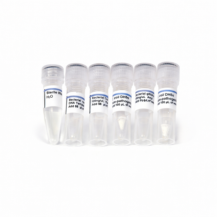 Bacterial CRISPR Kit Replacement Perishables