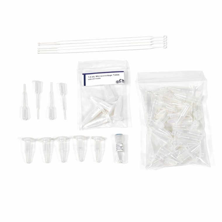 Bacterial Transformation Kit