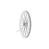 Zipp - SRAM Spokes & Nipples/Washers Roam 60 29 CX Sprint Straight-Pull Black 298mm (3pcs) - Black - 2025